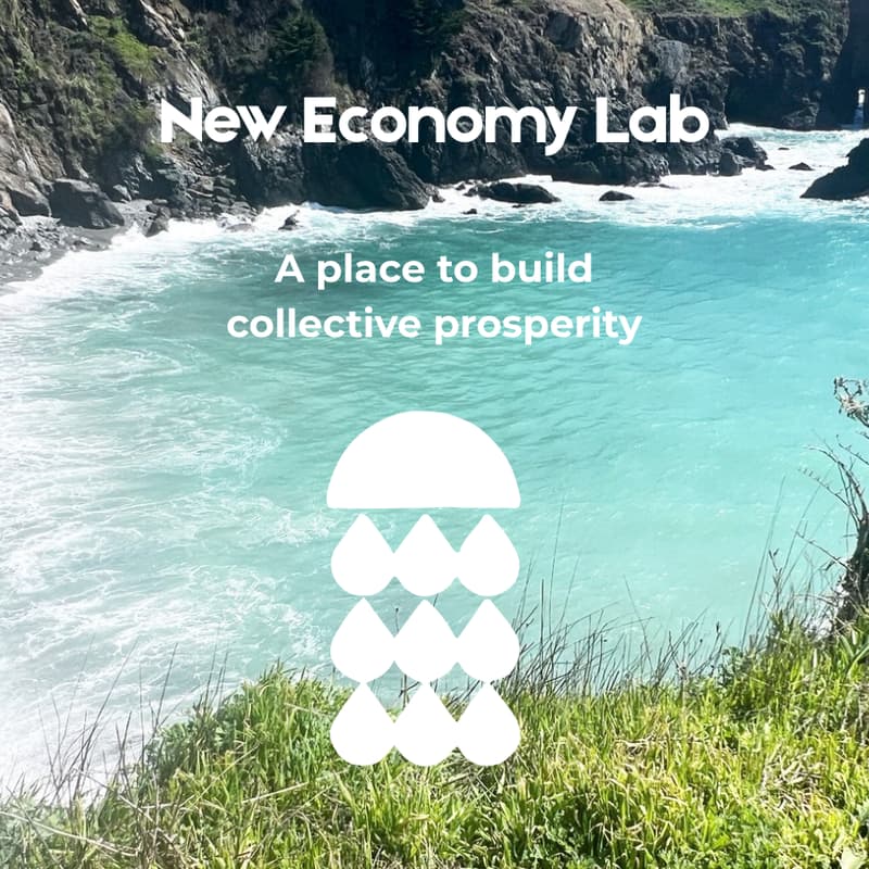 Cover Image for New Economy Lab: Intro to Regenerative Business