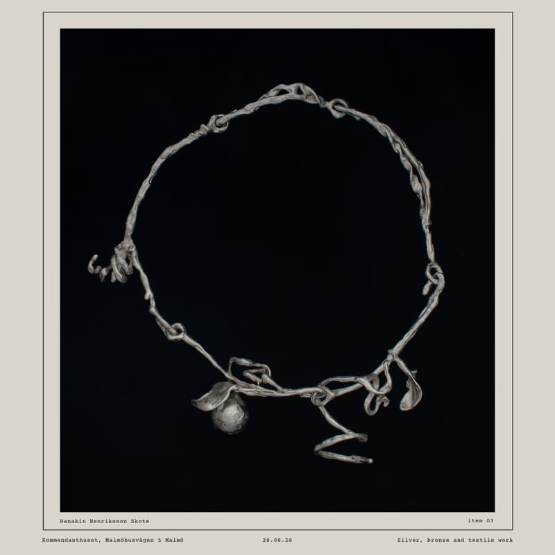 Cover Image for Exhibition: Hanakin Henriksson Skote
