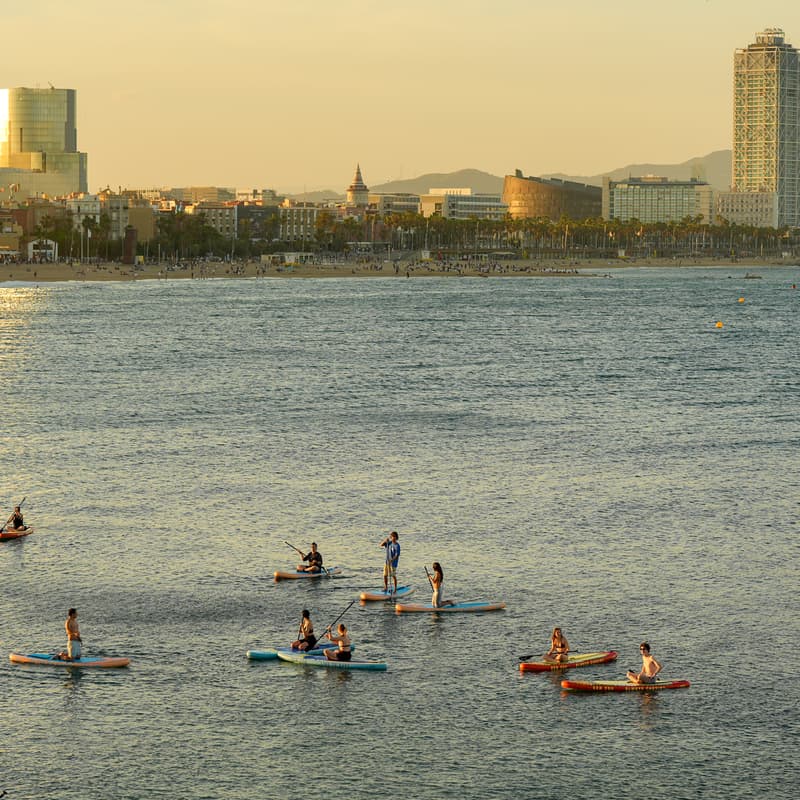 Cover Image for 🌅🏄♂️ Sunset Paddle Surf