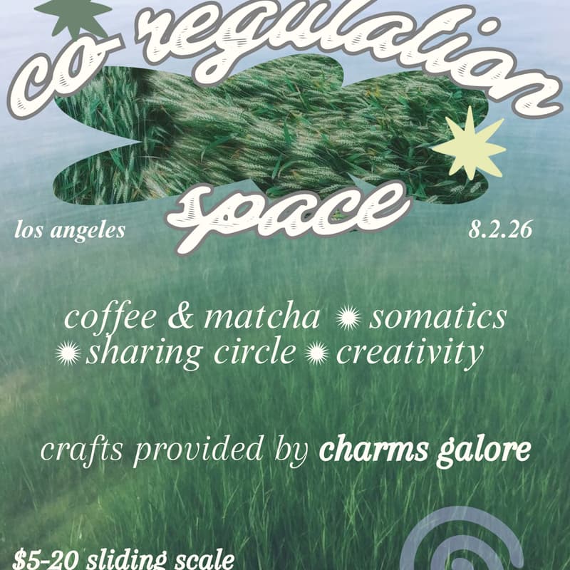 Cover Image for co-regulation space