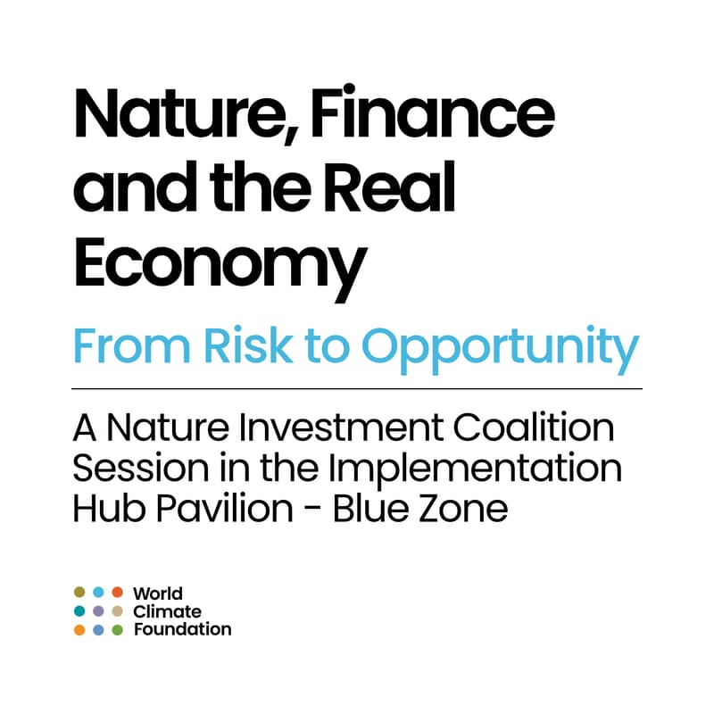 Cover Image for Nature, Finance and the Real Economy: From Risk to Opportunity