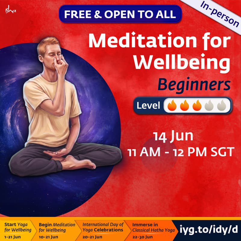 Cover Image for Meditation for Wellbeing (Level 2)