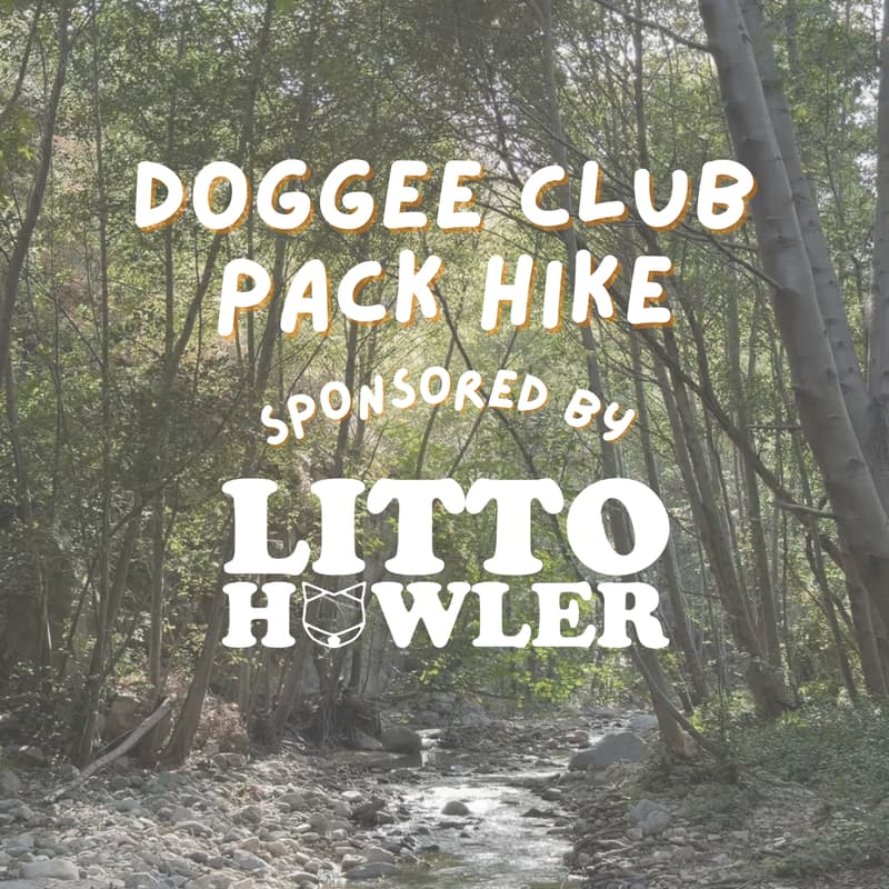 Cover Image for August Pack Hike