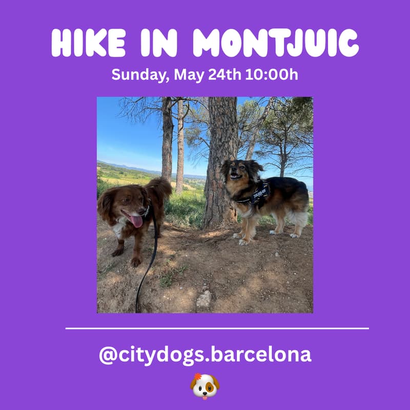 Cover Image for Hike in Montjuic