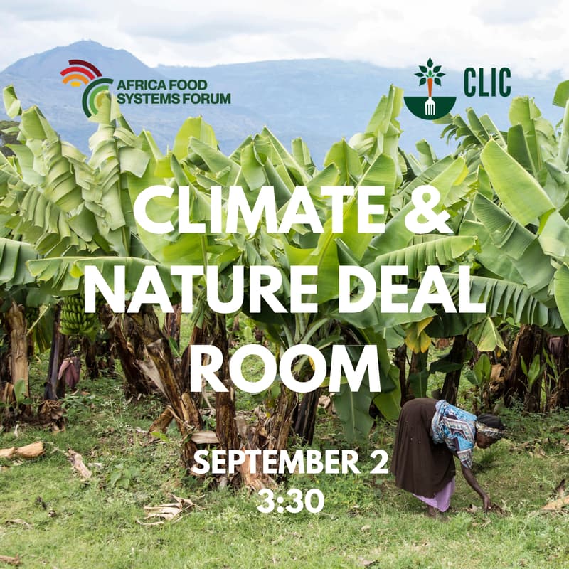 Cover Image for Climate and Nature Deal Room