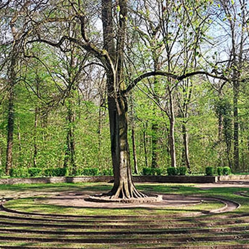 Cover Image for Resilienz Walkingworkshop: Innere Ruhe
