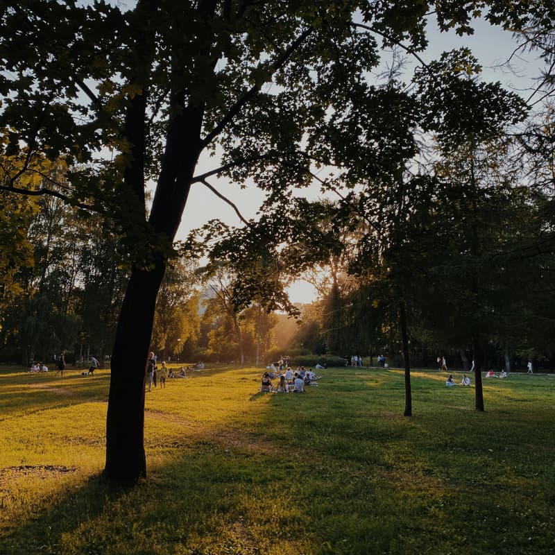 Cover Image for Who Cares? | Shared Table Picnic (For Men*)