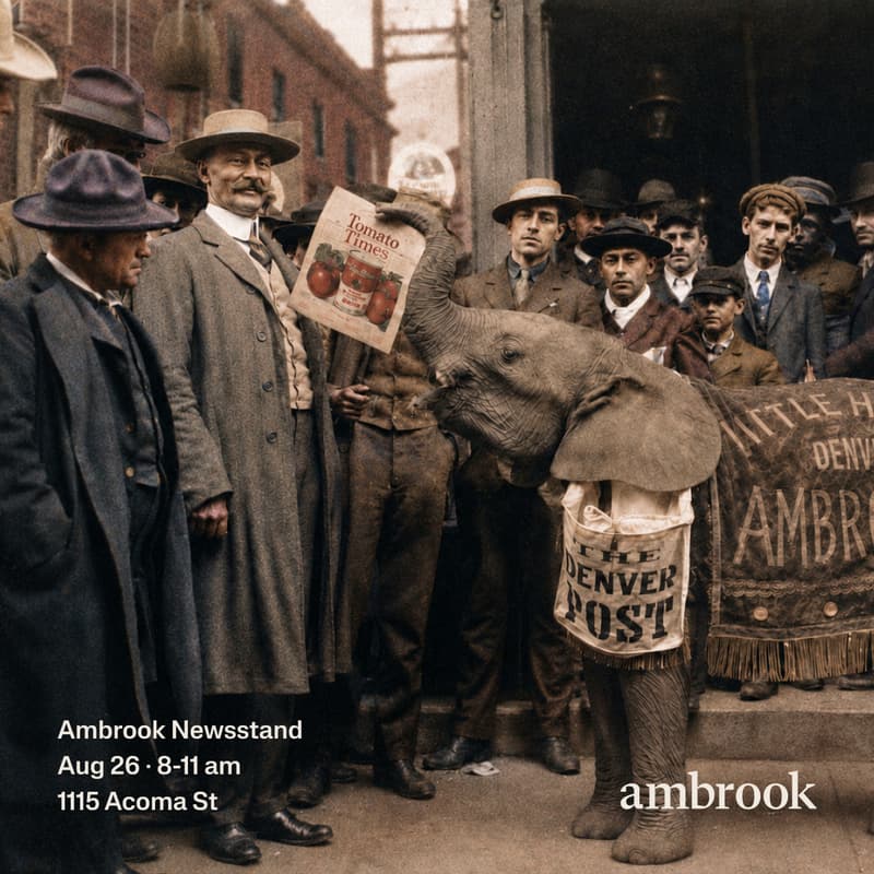Cover Image for Ambrook Newsstand: Denver