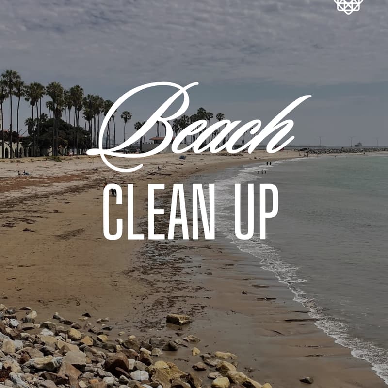 Cover Image for Beach Clean Up