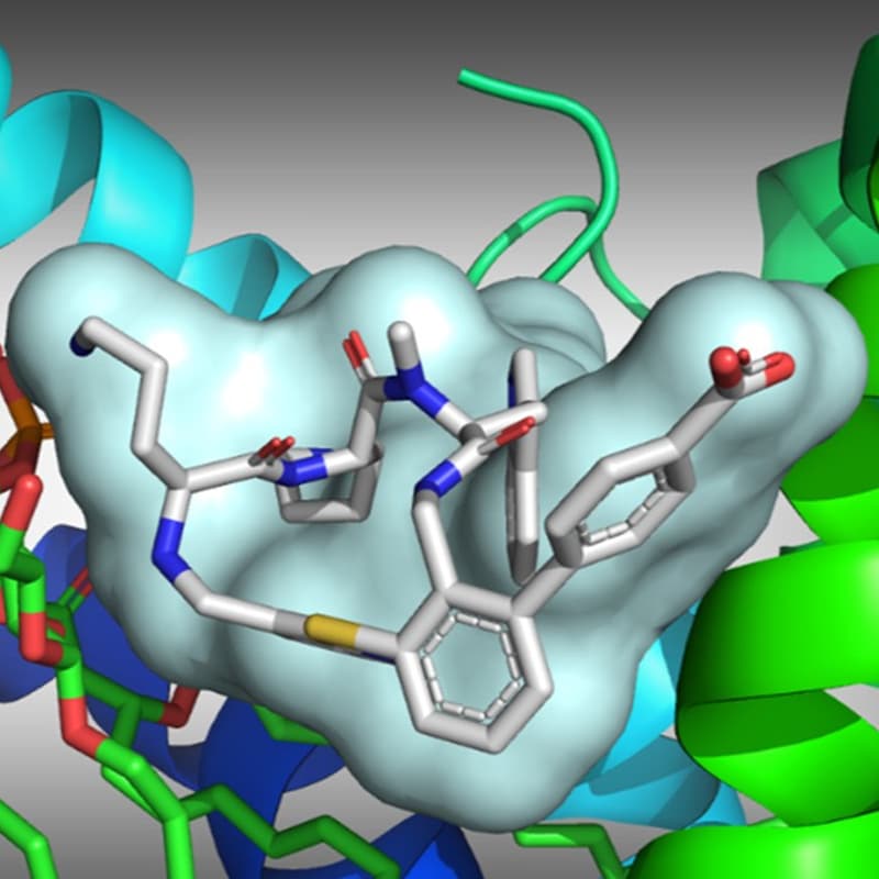 Cover Image for Macrocycle Design: Lessons from Recent Clinical Successes