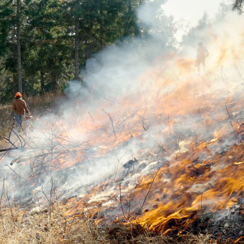 Cover Image for PBA "Fires of Tomorrow" Documentary Screening and Annual Social