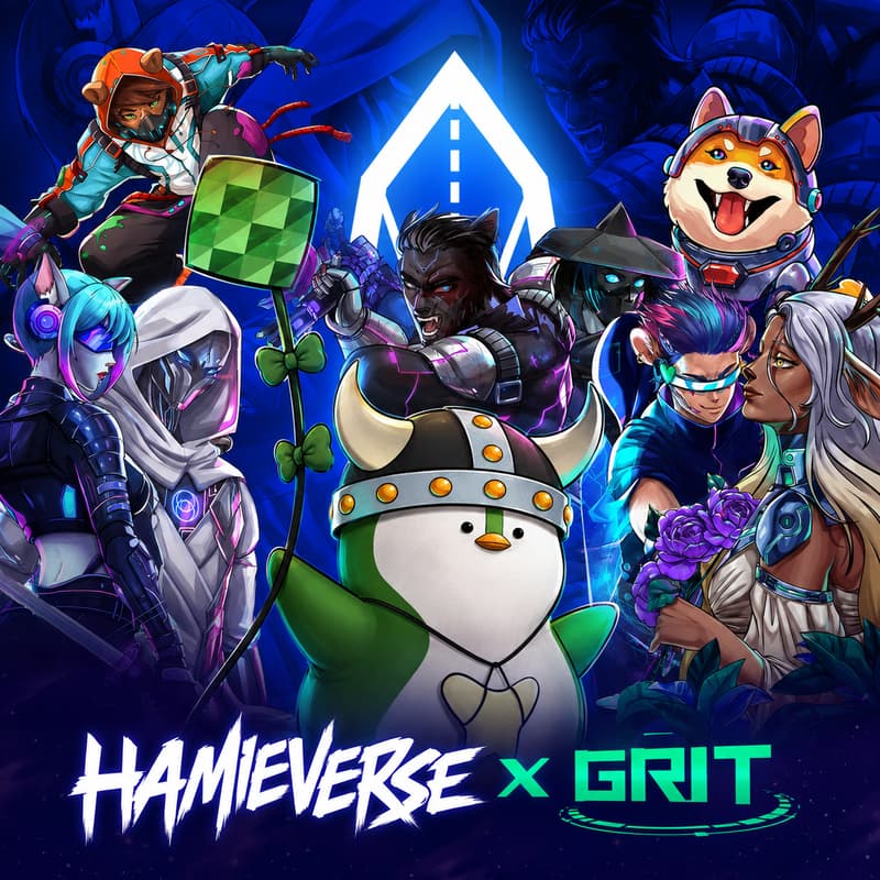 Cover Image for Hamieverse Game Night