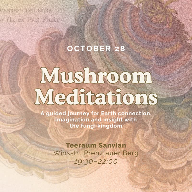 Cover Image for Mushroom Meditations: A guided journey for Earth connection, imagination and insight