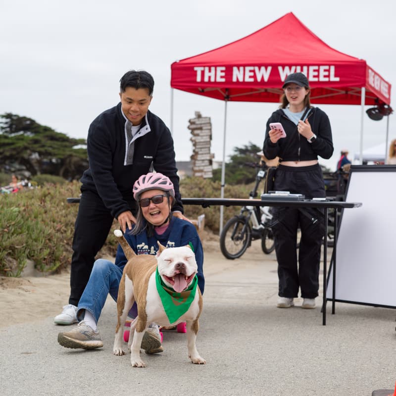 Cover Image for Volunteer: Dog on' Bike Ride (Breakdown)