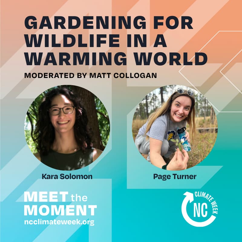 Cover Image for Gardening for Wildlife in a Warming World: How to Support Climate Resiliency Through Sequestering Carbon