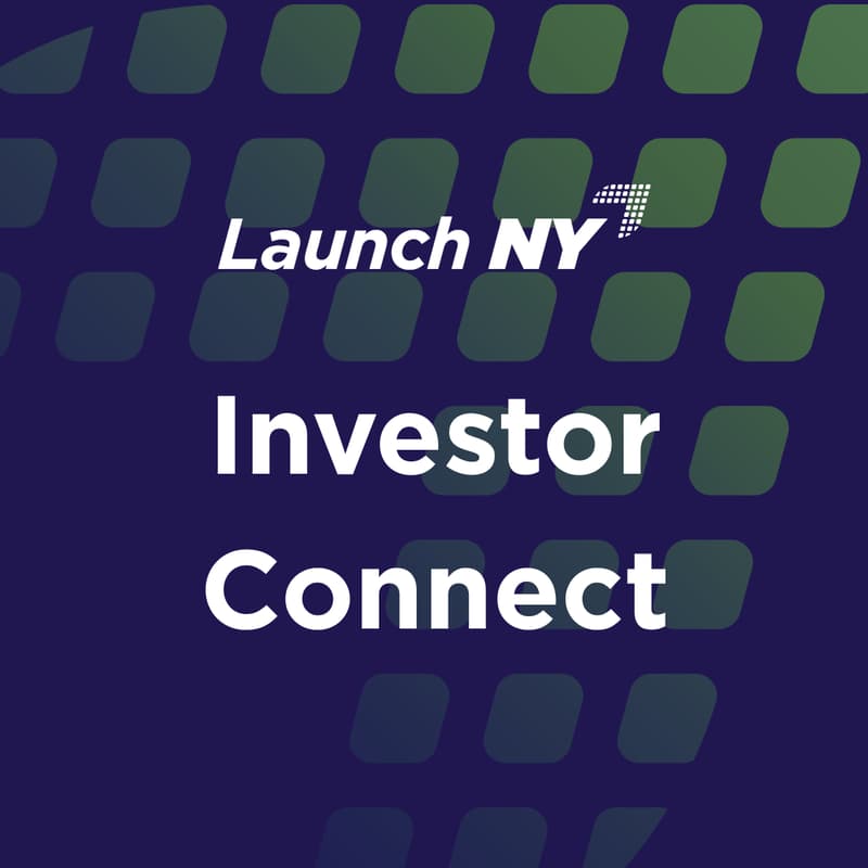 Cover Image for Launch NY Investor Connect