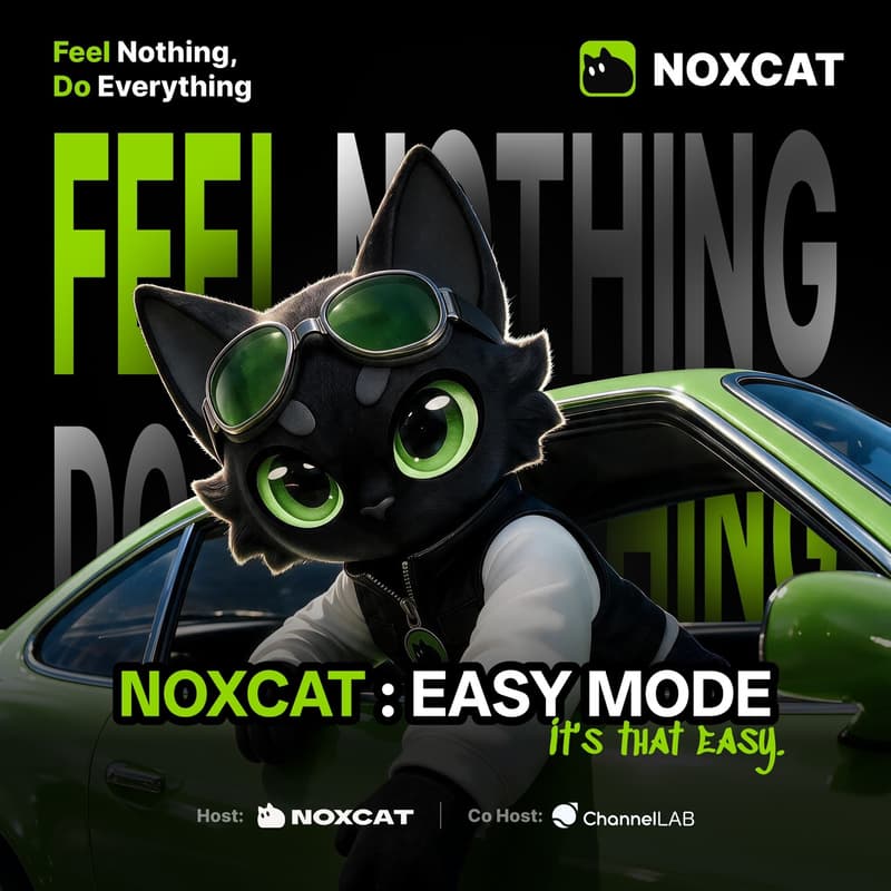 Cover Image for NOXCAT : EASY MODE - Invitation only