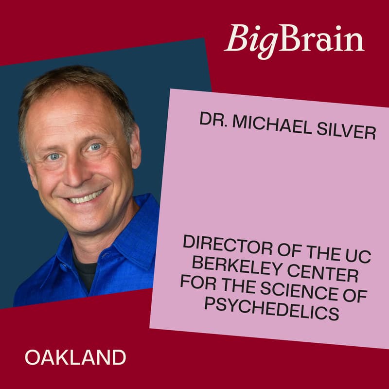 Cover Image for What Psychedelics Reveal About How We See the World