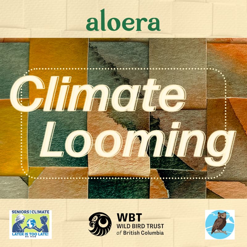 Cover Image for Climate Looming