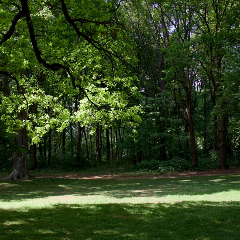 Cover Image for Escaping Flatland Meetup – Berlin