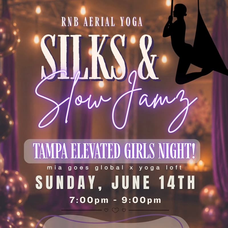 Cover Image for Silks & Slow Jamz: An RNB Aerial Yoga Experience