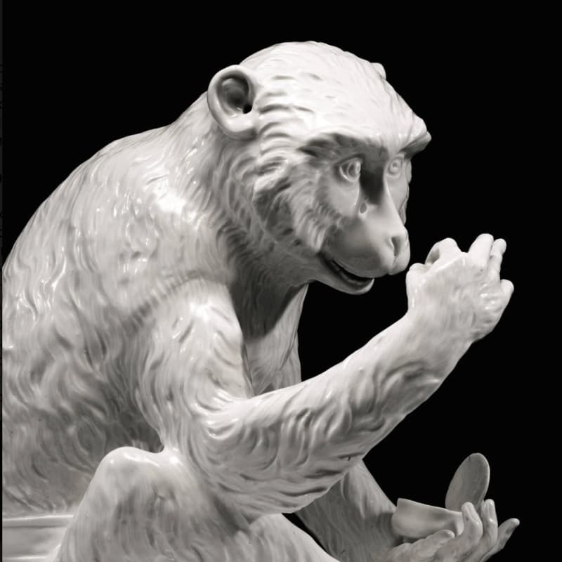 Cover Image for Белое Золото Саксонии: Заря Европейского производства и торговли фарфором