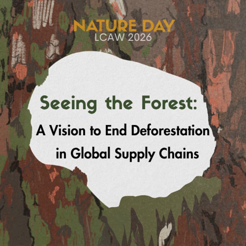 Cover Image for Seeing the Forest: A Vision to End Deforestation in Global Supply Chains
