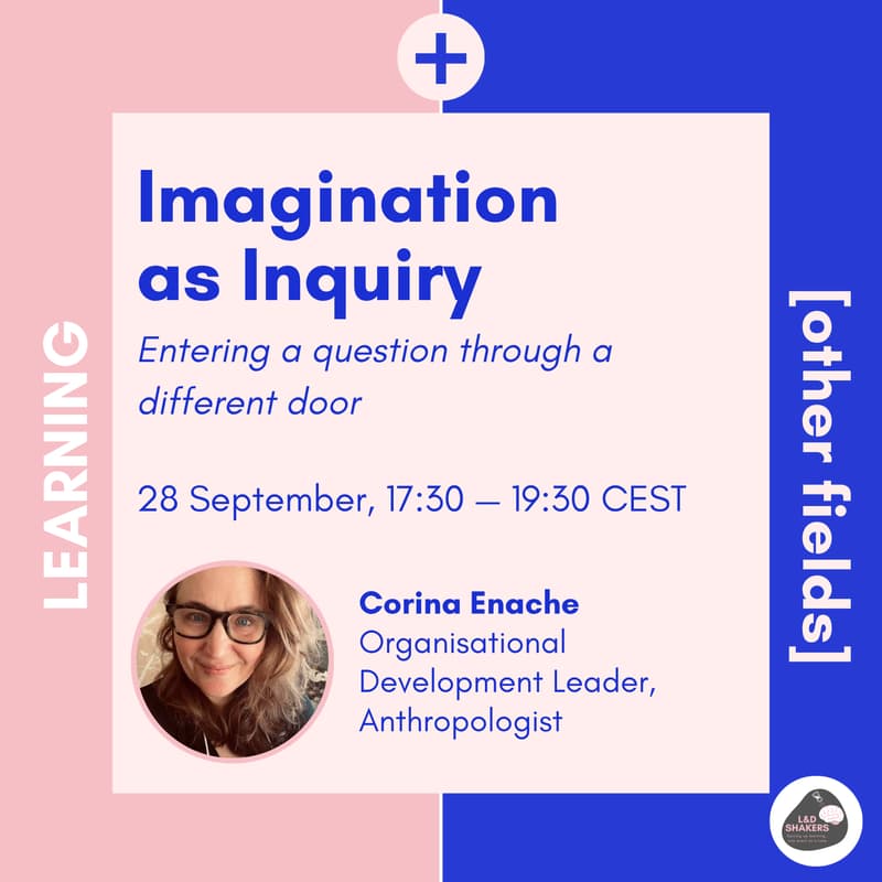 Cover Image for Learning & Other Fields: Imagination as Inquiry