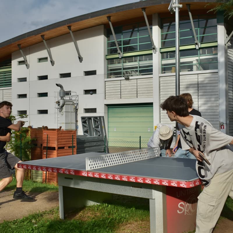 Cover Image for Torneo pingpong
