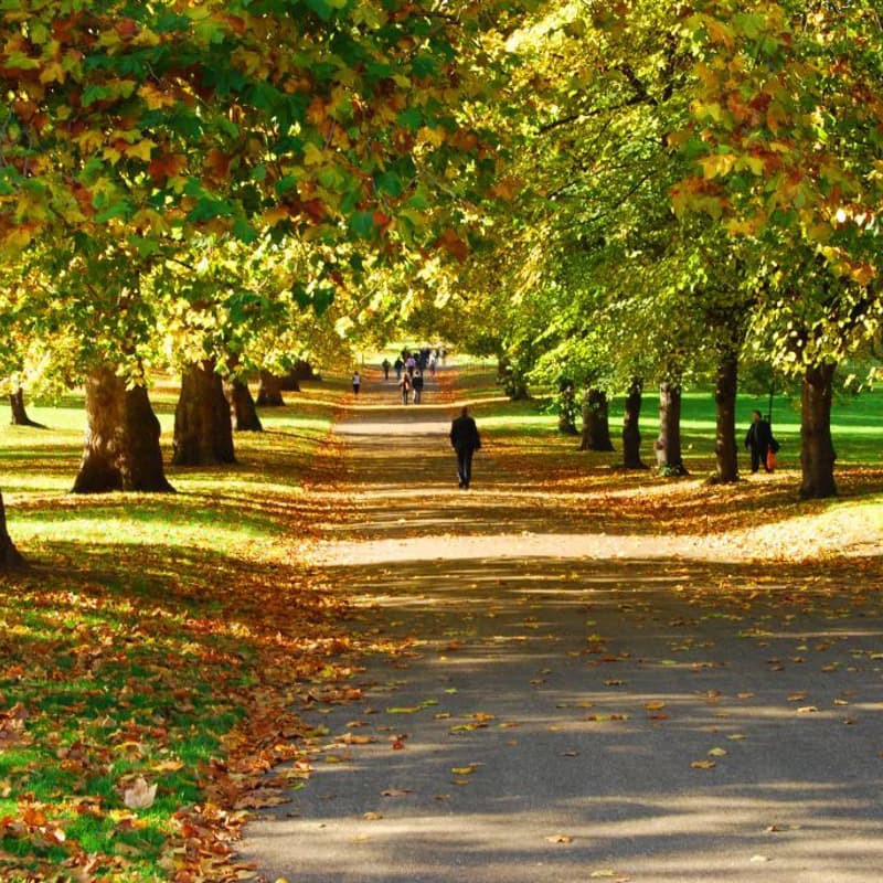 Cover Image for 🌳Offline Women Explore the Royal Parks: Green Park