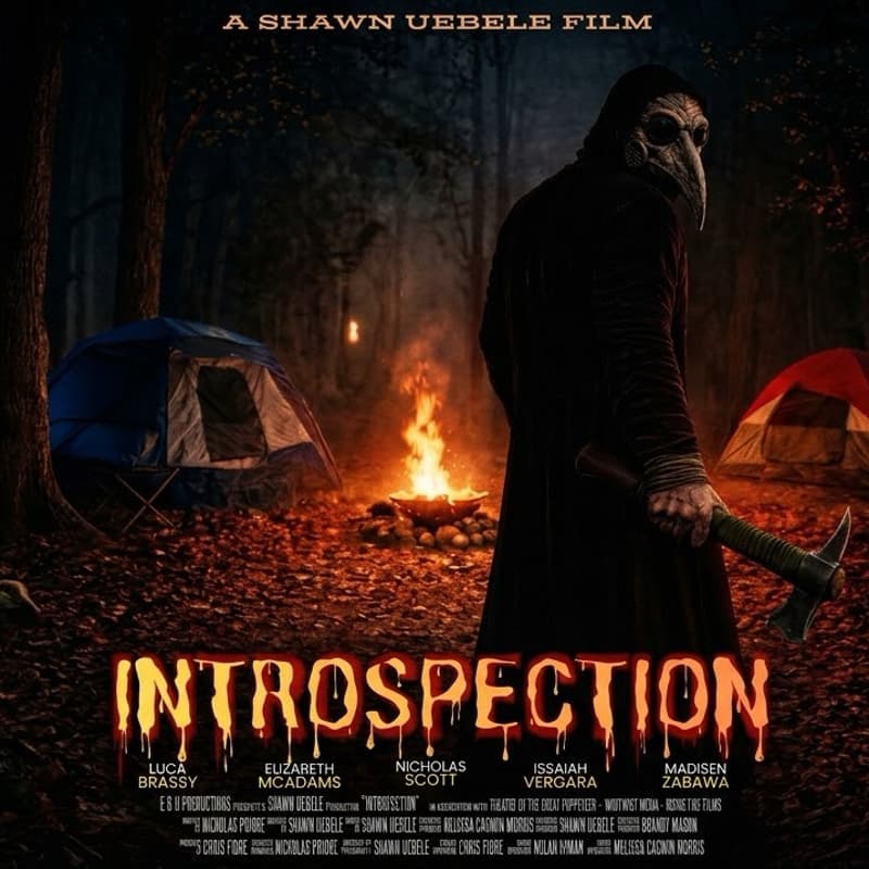 Cover Image for INTROSPECTION