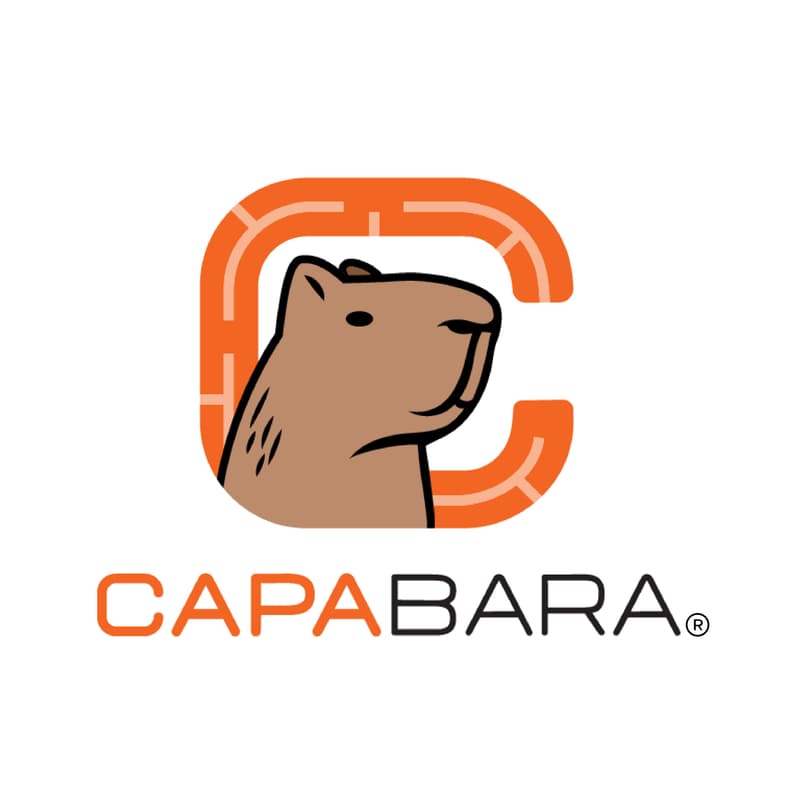 Cover Image for Capabara Workshop