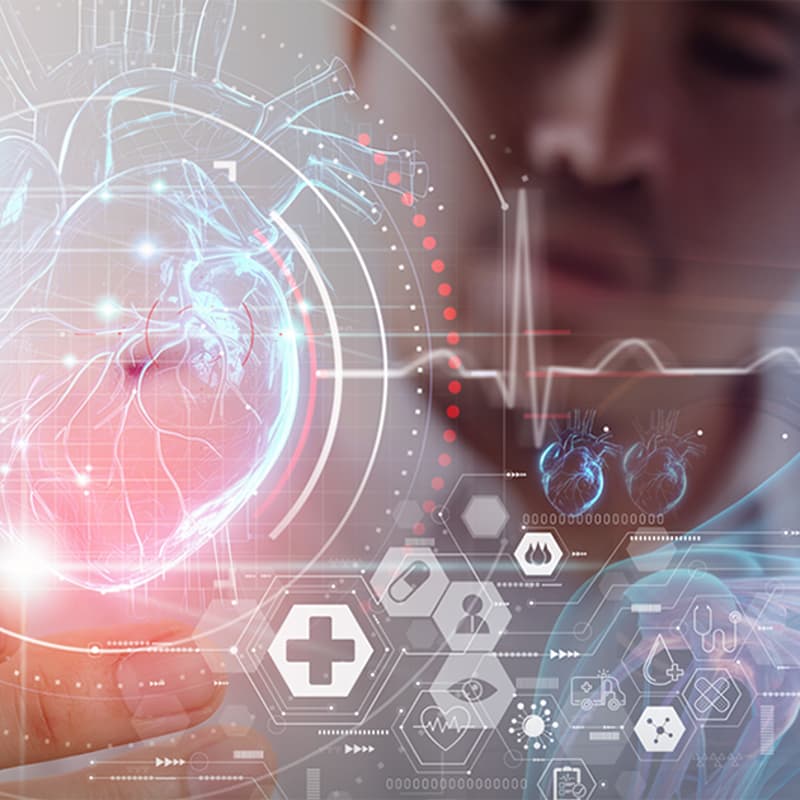Cover Image for Anatomage Software Demo: The Future of Anatomy Education