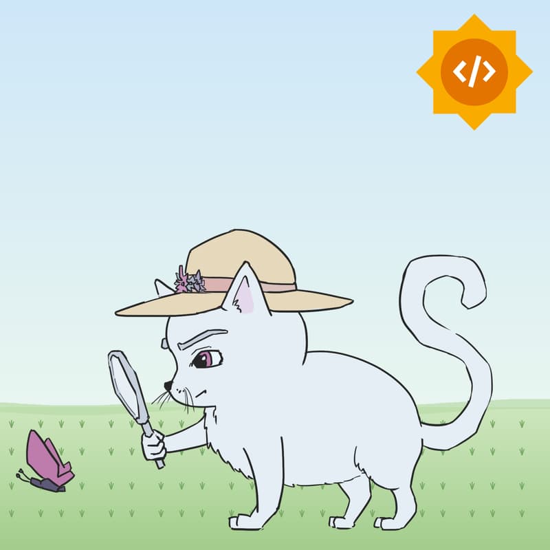 Cover Image for Summer of Code Lightning Talks