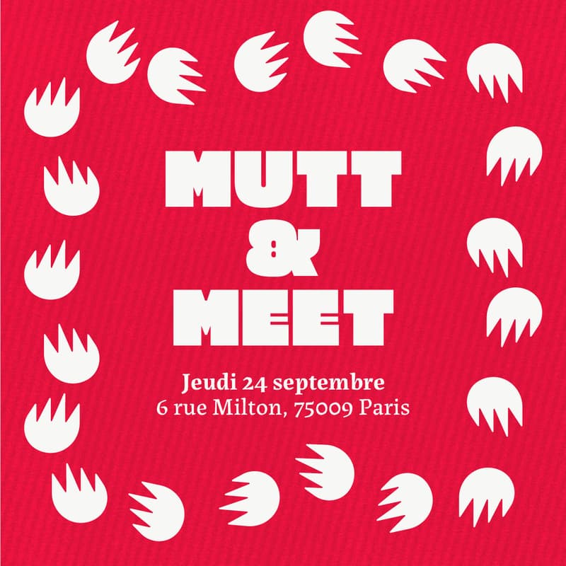 Cover Image for MUTT & MEET - Back to school !