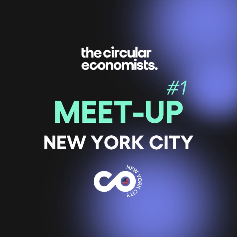 Cover Image for The Circular Economists Meet-up: New York City 🇺🇸