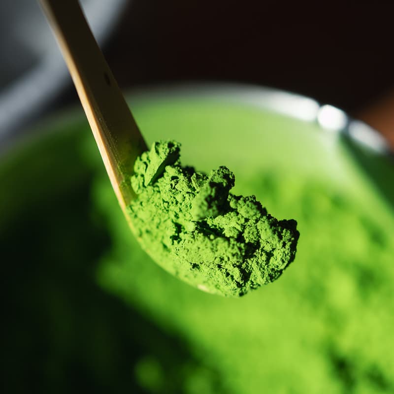 Cover Image for Learn about Matcha and have a taste- by AMIKA MATCHA