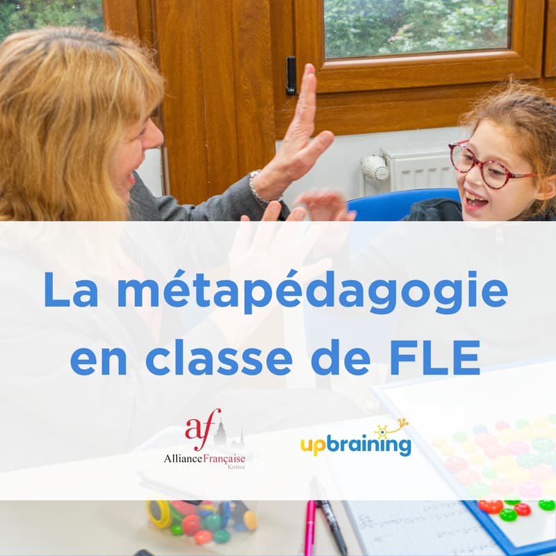 Cover Image for La métapédagogie en FLE : autonomie, efficacité, plaisir