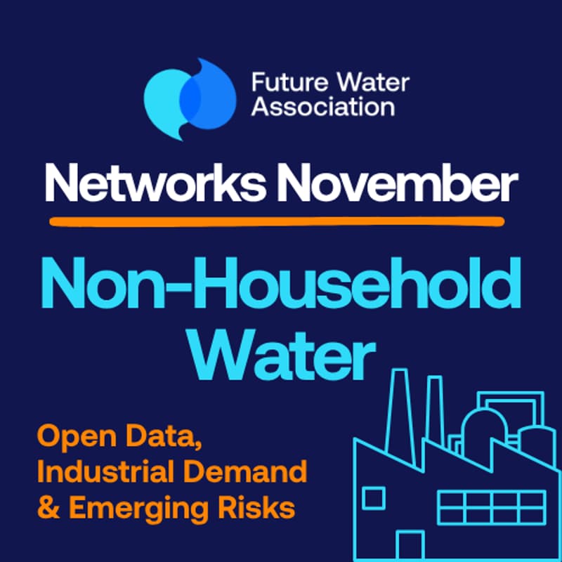 Cover Image for Networks November: Non-Household Water: Open Data, Industrial Demand and Emerging Risks