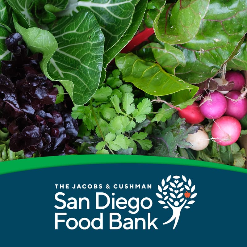 Cover Image for Local Food, Local Solutions – a local food panel with community leaders