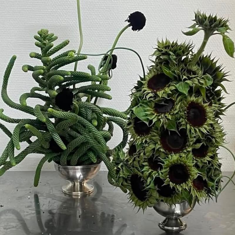Cover Image for CB Studio / Edible Floral Workshop with Veronika Fink