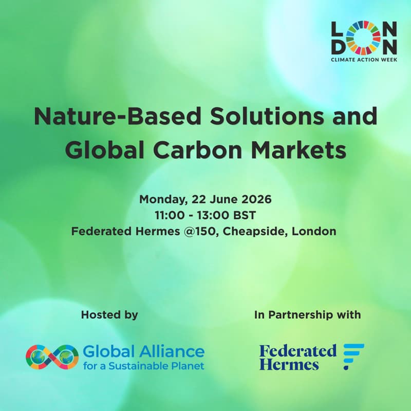 Cover Image for Nature-Based Solutions and Global Carbon Markets