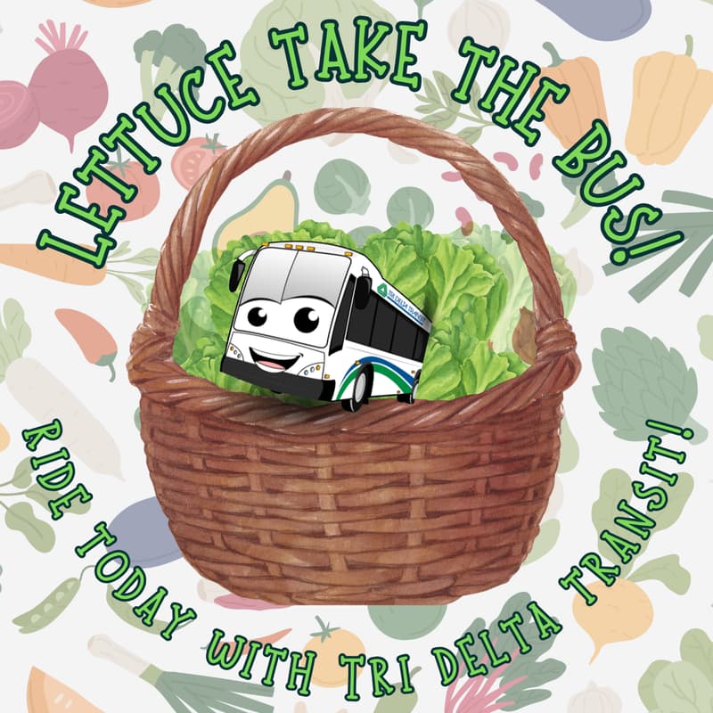 Cover Image for Tri Delta Transit takes you to the markets.