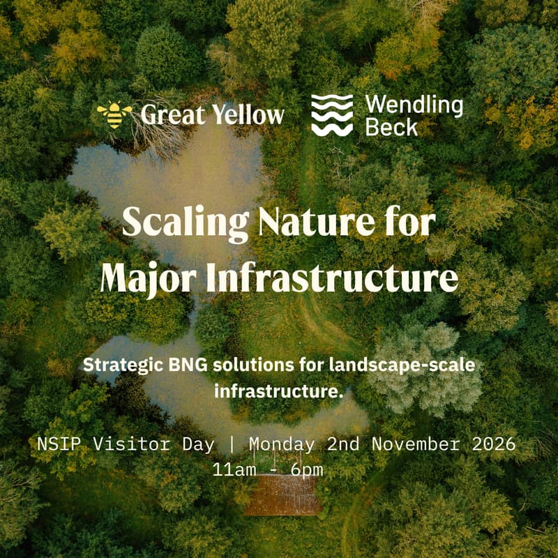 Cover Image for Great Yellow x Wendling Beck NSIP Visitor Day