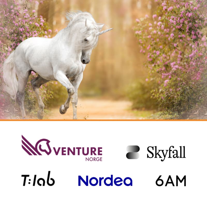 Cover Image for Kommer Norges første AI Native Unicorn fra NTNU?