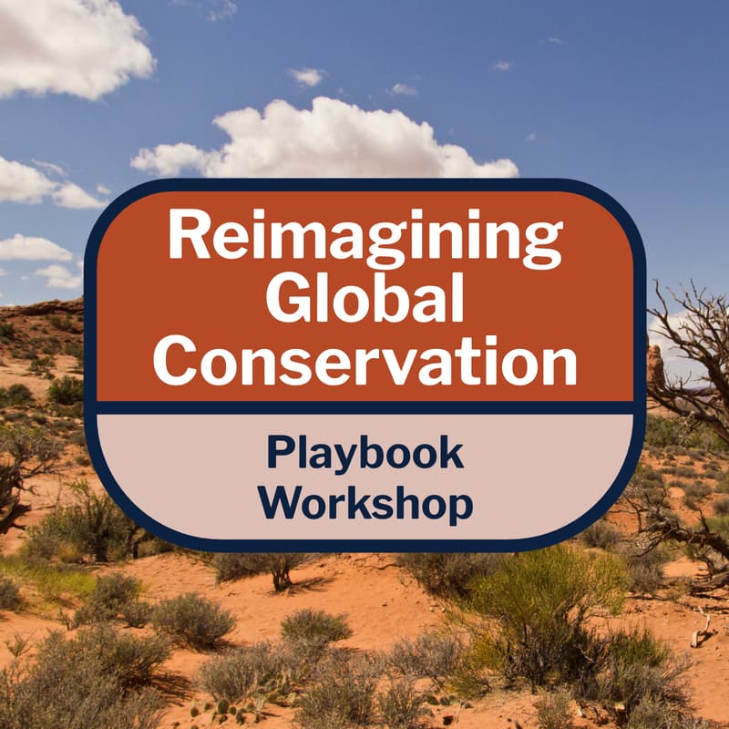 Cover Image for The Playbook: Reimagining Global Conservation for 2027 and Beyond