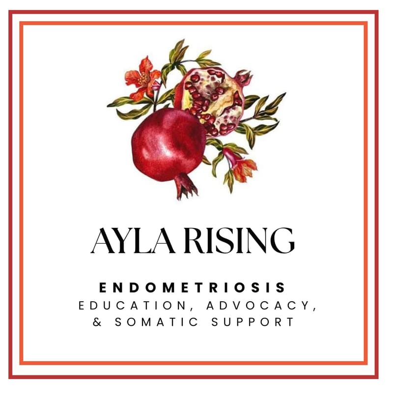 Cover Image for Ayla Rising - Provider Gathering