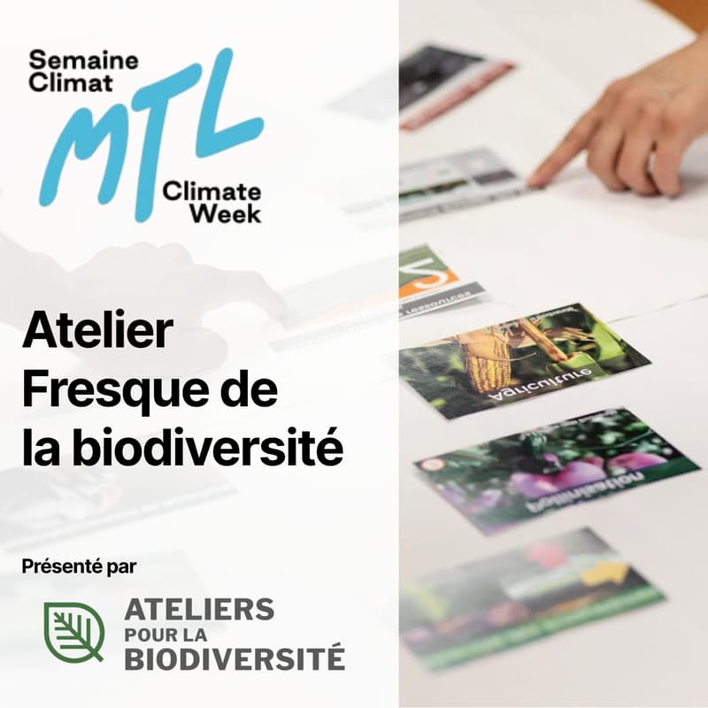 Cover Image for Atelier La Fresque de la Biodiversité