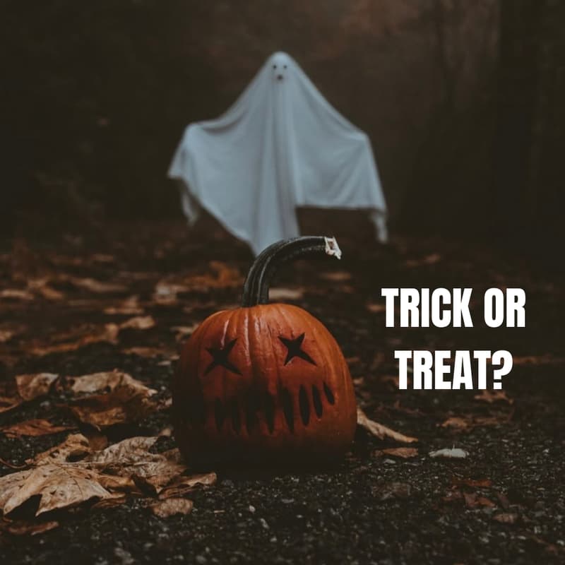 Cover Image for The Halloween Party