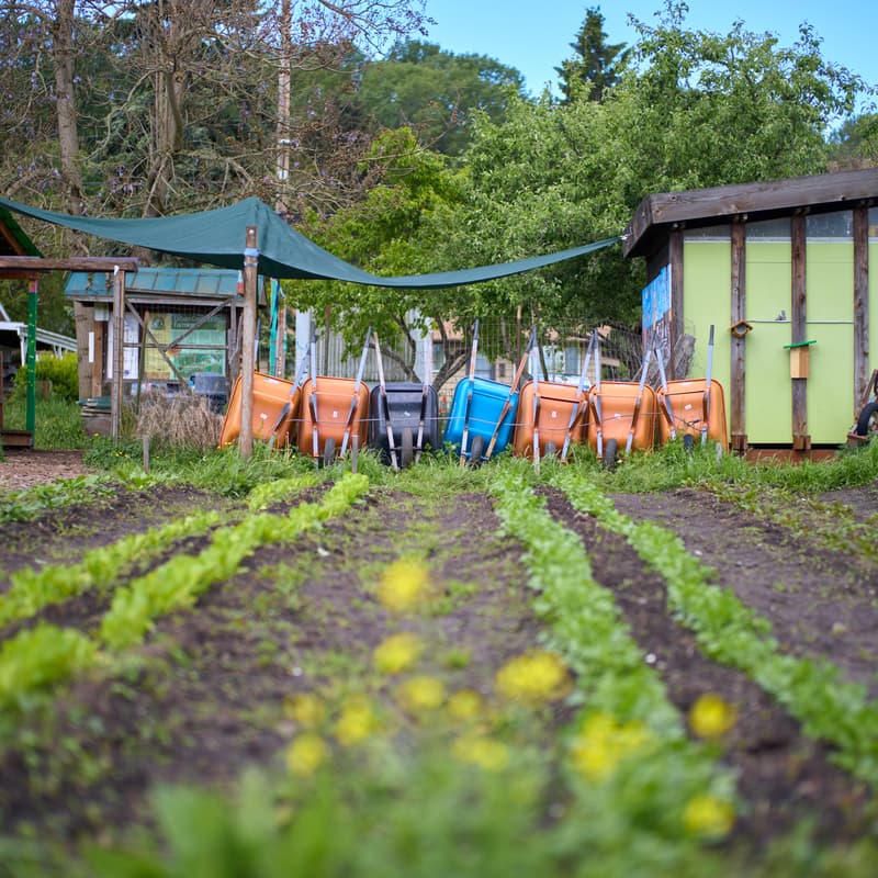 Cover Image for Farm to Clinic Tour: Where Sustainable Agriculture Meets Community Health